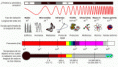 /album/espectro-de-radiacion/espectr-gif/